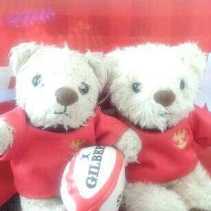 kami_sh9's profile picture. 息子が夢に向かって旅立ったので娘の成長を見守りつつ、帝京ラグビー部の応援三昧
新しい家族(黒猫ノア&白猫ハク&雉虎タビィ)の呟きはこちら @Noir_kami