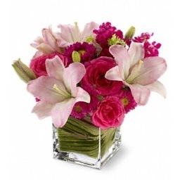 Calgary's premiere florist and proud recipient of the Consumers' Choice Award Gold Medal winner in the category of Florist for the past five years.