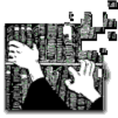 __pauln's profile picture. 