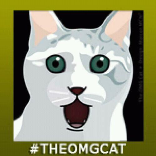 IssoProcede's profile picture. O cara que você vai seguir todo tempo...  Este cara sou eu... #followback