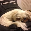 Curtis Mueller - @ctmutsa - Twitter