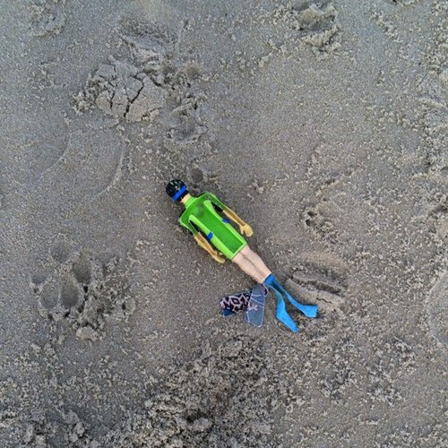 riegrac's profile picture. 