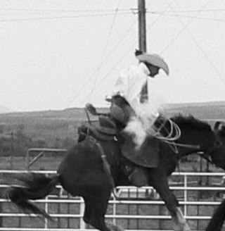 Located in Hugo, Colorado, we are proud to be the first WRCA sanctioned ranch rodeo in the state of Colorado.