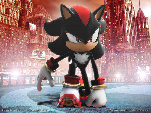 Just a normal guy who will talk about anything. Likes video game,news and just random talking.