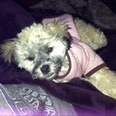 Joanna Mares - @JJmares25 - Twitter