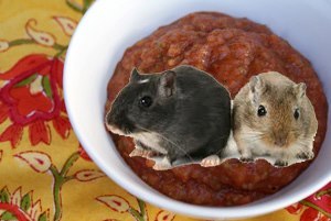 We have salsa for your pet gerbils. Get it now! Your gerbils like spicy food too!