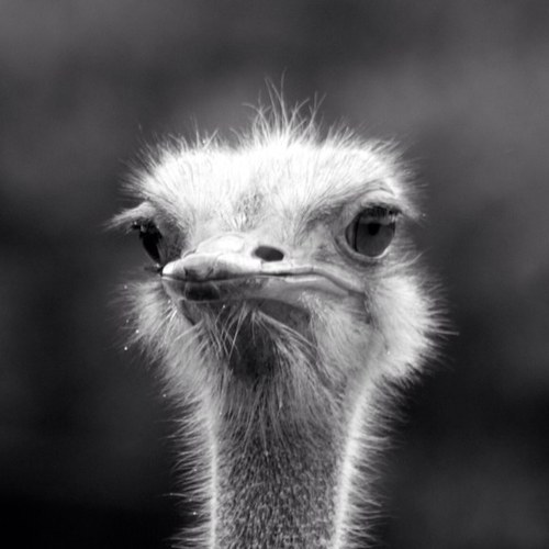 MaToCoi's profile picture. 