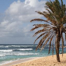 aritan88's profile picture. 