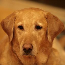 morgankwong's profile picture. 