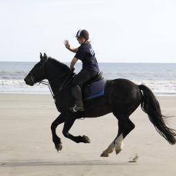 MarrosRC's profile picture. BHS, ABRS, WTRA and Pony Club approved riding centre offering tuition, treks, own-a-pony days, beach rides, stable management and toddler taster sessions.
