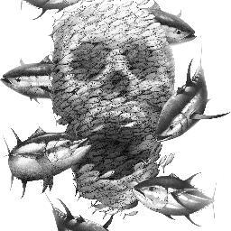 HookedNation's profile picture. HCD goal was to create a brand that truly married the passion for fishing, diving, surfing, and the ocean with the style, edge and quality apparel.