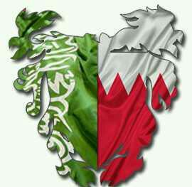 ‏‏‏‏‏‏(وأفوض أمري إلي الله أن الله بصير بالعباد)      
الخاص مهمل