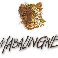 Mabalingwe Reserve (@mabalingwer) 's Twitter Profile