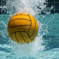 waterpolosmart (@waterpolosmart) 's Twitter Profile Photo