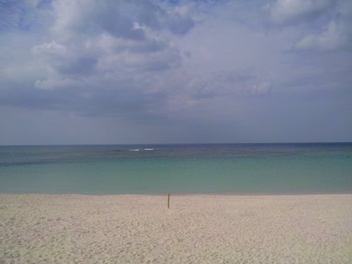 f2lightning's profile picture. 