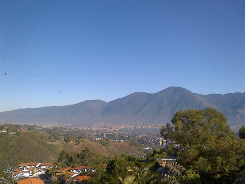 cattleyaalba's profile picture. 