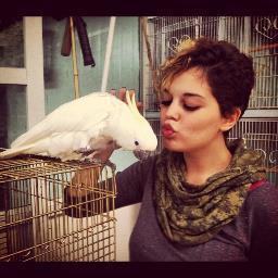 appoletic's profile picture. madwoman, maniac, crazy, bubbly, always misunderstood ✌ ;
♥