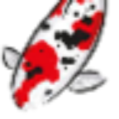 ImaJJinKoi's profile picture. Open since Feb 2013. UK Retailer of quality Japanese Koi. http://t.co/nfcmmk7x1r