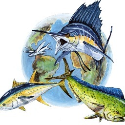 Florida Keys Fishing From The Flats to Deep Sea and everything in between. Perspective from local guides and anglers. Real Fishing Reports and Forecasts.