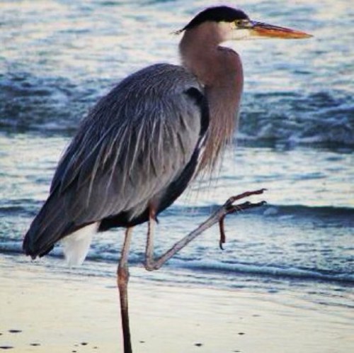 cewhit1's profile picture. 