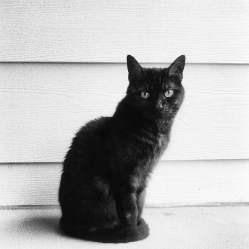 KITBEST's profile picture. GRAV LOVER. PART-TIME NINJA. HEADBUTT MASTER. TOTALLY BEST.