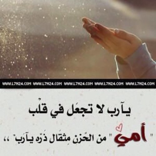 كلنا مسلم البراك