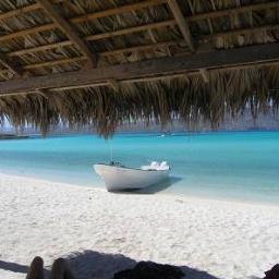 jenny_swank70's profile picture. 