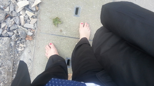 I am living barefoot... I love trading, 5 star hotels, software, machine learning