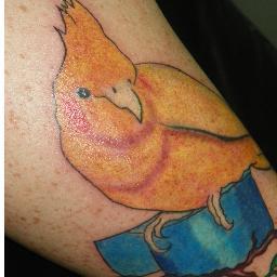 Ter Tatuagem Não Significa Que Não Tem Carácter. Ser Tatuado É Ser Um Admirador Da Arte Na Pele!!!