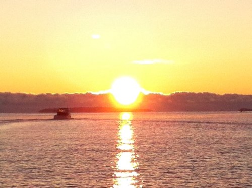 NickiBirarelli's profile picture. 