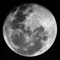 ingrid_ssc's profile picture. 