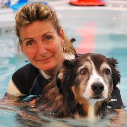 Animal artist, animal massage specialist, canine hydrotherapist and all round animal lover.  http://t.co/4uF0EO8O  is my 'pet' cause.