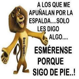 soy buena onda y trato como las personas me traten y eso si amistad sincera