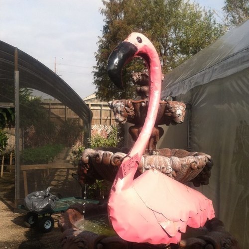 nola4evah's profile picture. Horticultural, baseball and book loving liberal. Spay or neuter your pets and adopt from shelters. Progressive #UniteBlue.  The Saints will go marching in.