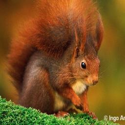 KariMitchell12's profile picture. 