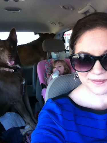 Mom to three, wife to one, family chef, couponer, crafter, recently diagnosed with Multiple Sclerosis, home renovator, blogger