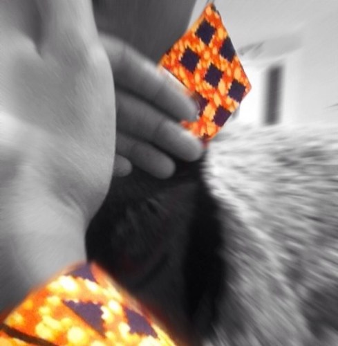 Aweval's profile picture. Et la marmotte met le chocolat dans le papier alu...