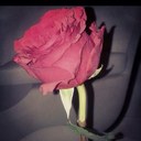 موضي عبدالرحمن (@00_mody) Twitter