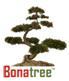 bonatree's profile picture. 