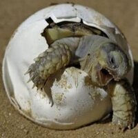 Cluster Je Suis (@kerkirab) 's Twitter Profile