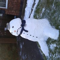 Rich Davey (@richdaveyooo7) 's Twitter Profile