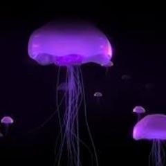 Ba6aSooda's profile picture. Seeking a cure