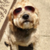 Pat (@shigityschwagg) Twitter profile photo Pat (@shigityschwagg) Twitter profile photo