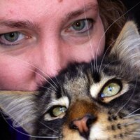 Lizanne Henderson (@hlizanne) 's Twitter Profile