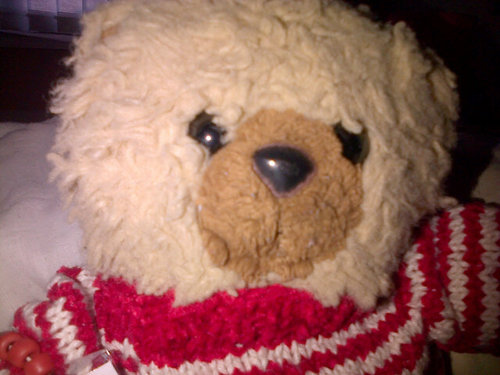 I am a Irish bear who like a good cuddle to who ever what's one, free hugs for everyone :) I live in Derry which is in Northland Ireland