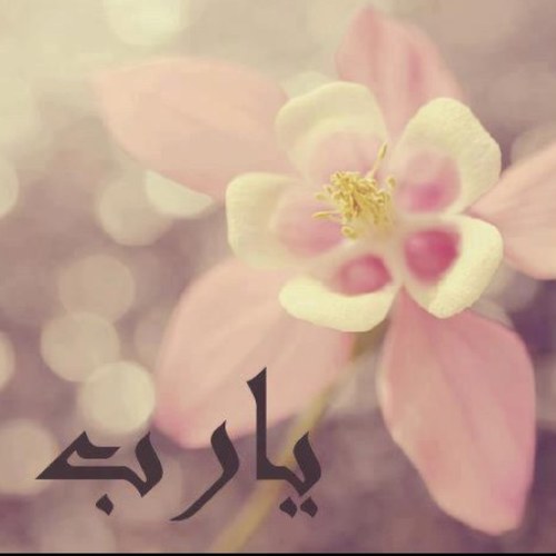 وبإسمك الذي إذا دُعيت به على مضآئِق ابواب الاْرض للفرج انفرجت، واذا دُعيت به على العسر لليسر تيسَّرت .. يالله