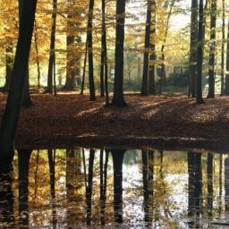 Opleidings-/onderwijskundig adviseur, docent, coach,supervisor,assessor. Zelfstandig ondernemer die breed georiënteerd is in onderwijs en gezondheidszorg.
