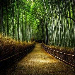 avaldesdiaz's profile picture. 