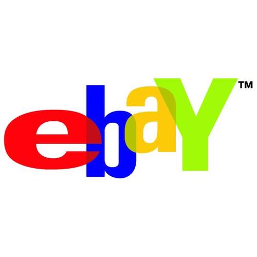 eBay Niche Store