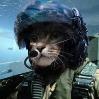 Чанки бои (@kotofan_68) 's Twitter Profile